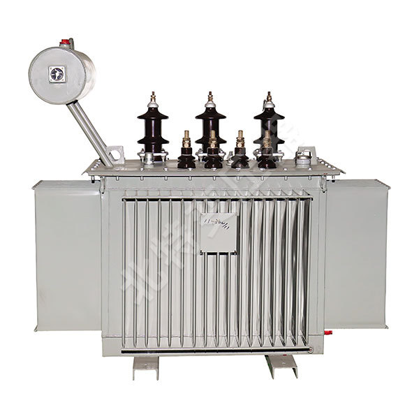 S10 SERIES 11kV CLASS DISTRIBUTION TRANSFORMER